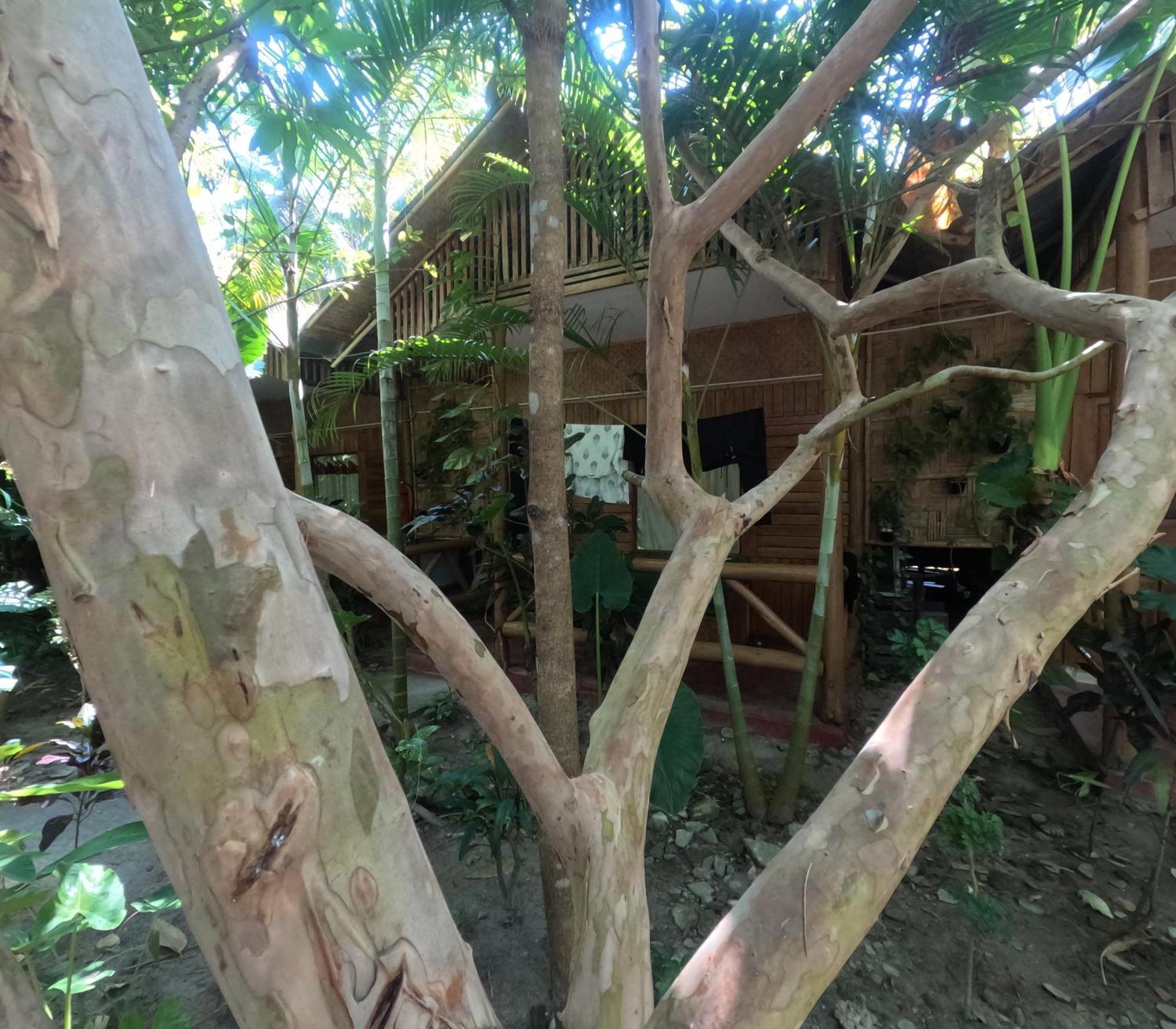 Havelock Farms Resort Vijay Nagar Beach Zewnętrze zdjęcie